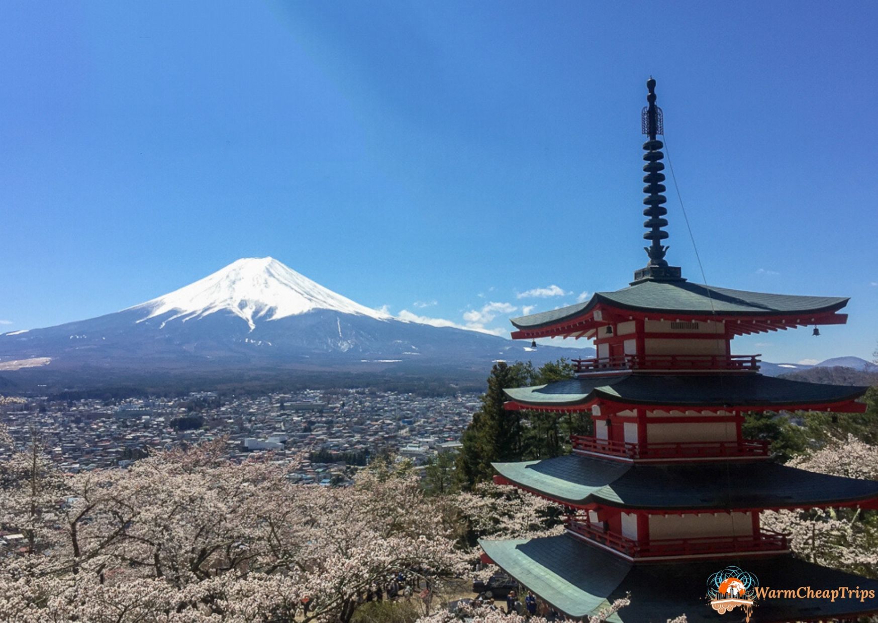 escursioni da Tokyo: Monte Fuji