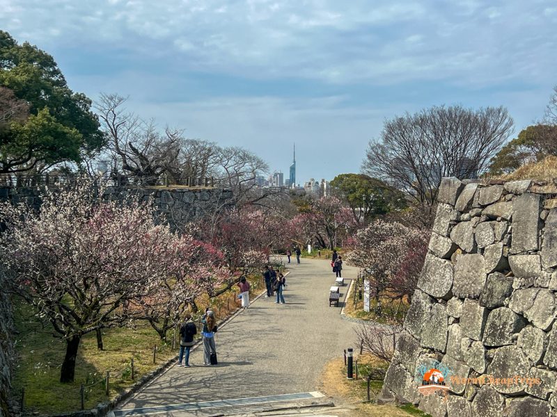 Visitare Fukuoka - Castle Park