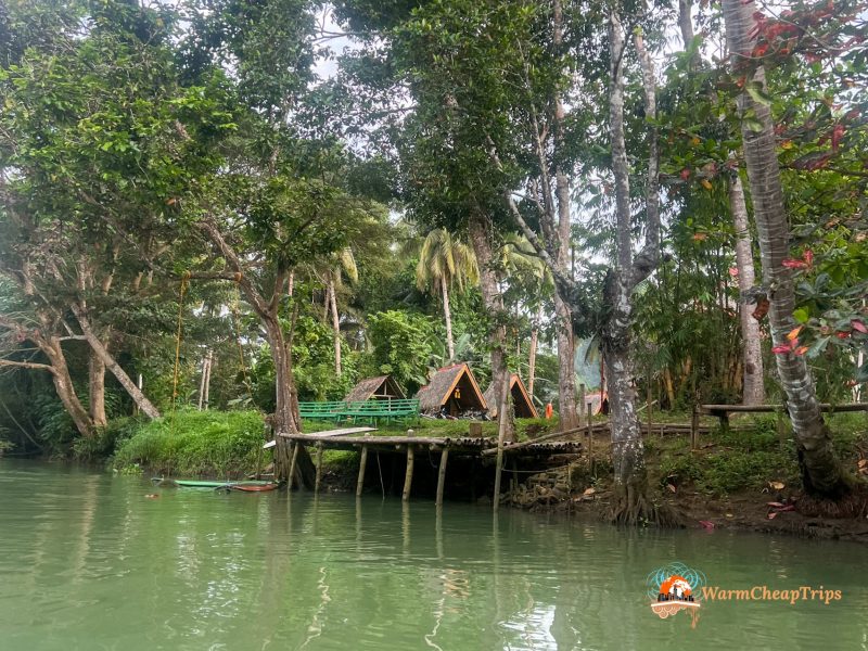 Loboc River Cruise