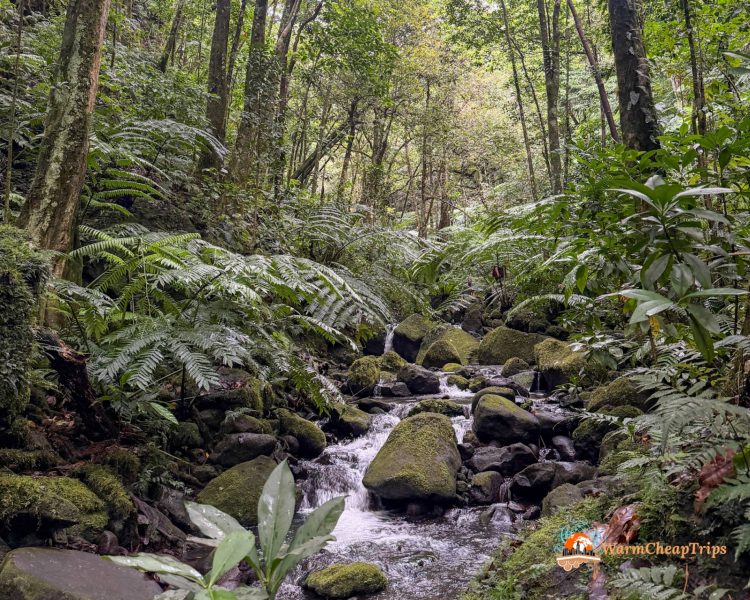 Cosa fare a Rarotonga - hiking